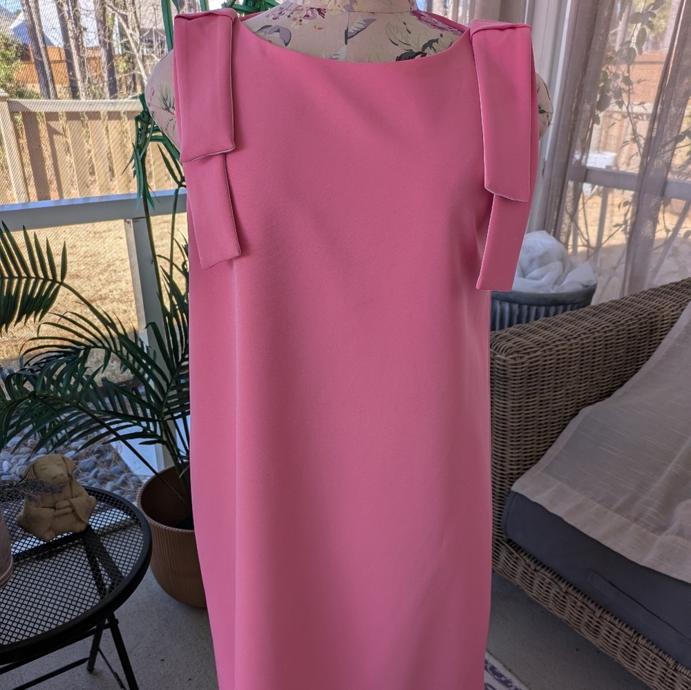 Pink Dress - Picture 3 of 13
